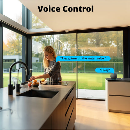 SONOFF Zigbee Smart Water Valve SWV-BSP/SWV-NH