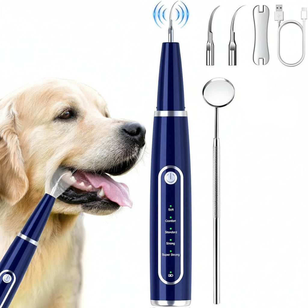https://i.otto.de/i/otto/c93f50b2-73f1-4250-914f-35d51faf8882/xruiy-zahnpflege-set-ultraschall-zahnreiniger-fur-hunde-katzen-5-modi-3-koepfe-ipx7-wasserdicht-1500mah-blau.jpg?$formatz$